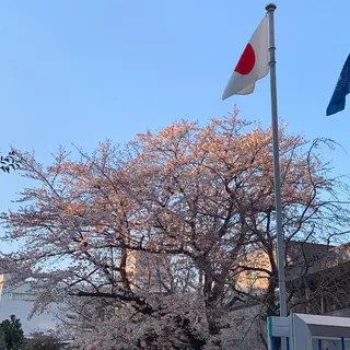 くつろぎ 小悪魔のエステ・リラクイメージ