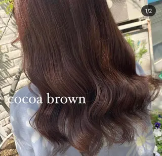 カラー ヤマダ サクラのヘアスタイル