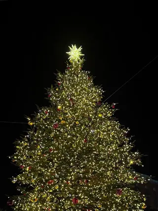 ロング Loops六角橋店所属・𖥔 ݁ ˖✿₊˚⊹ ソウ🌻のヘアスタイル