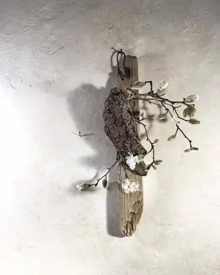 oyanagi 〰️の眉毛・アイブロウイメージ