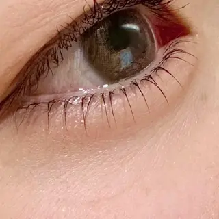 ãããšã¯ã»ããã jolie æ ð€ã®ãããšã¯ã»ããããã¶ã€ã³