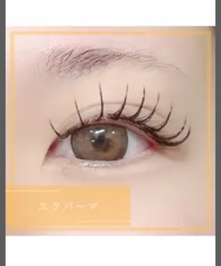 マツエク・マツパ ◡̈︎eyelist ⑅︎Reinaのマツエク・マツパデザイン