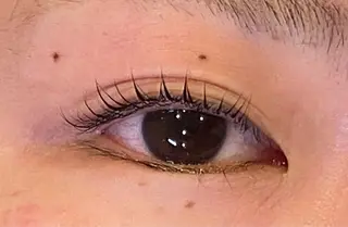 マツエク・マツパ Daisy lash 京橋店堀井のマツエク・マツパデザイン