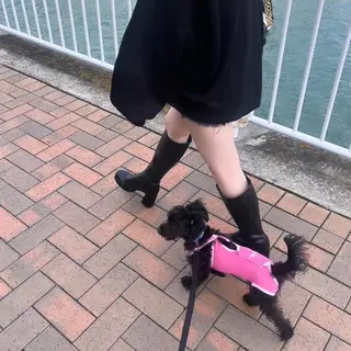 ミディアム カラー パーマ ヘアアレンジ メンズ 🩷Eny terrace🩷のヘアスタイル