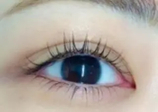 マツエク・マツパ Eyelash 予約受付スキンプロのマツエク・マツパデザイン