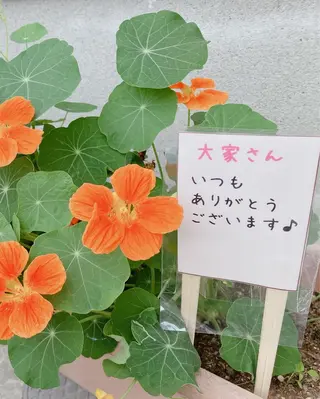 メナード熊本 嘉島のエステ・リラクイメージ