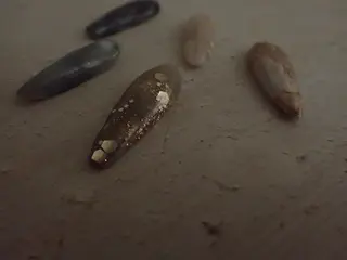 ネイル A tanoのネイルデザイン