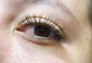 マツエク・マツパ GRANDE OSU 藤原/eye店長のマツエク・マツパデザイン