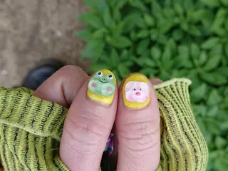 ネイル shellnail さなえのネイルデザイン