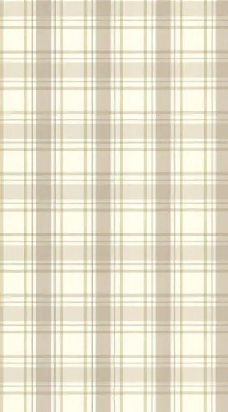 韓国ハイトーン🦋 hikariのヘアスタイル