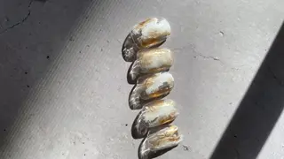 ネイル Slow.Nail Tomomiのネイルデザイン