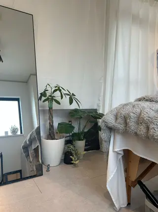 韓国🇰🇷価格 サロン_Nbibiのエステ・リラクイメージ