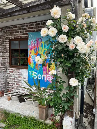 Sona hair & eyelash salon所属・紙屋 隼人のヘアスタイル