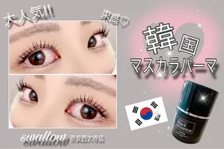 マツエク・マツパ swallow 奈良西大寺店のマツエク・マツパデザイン