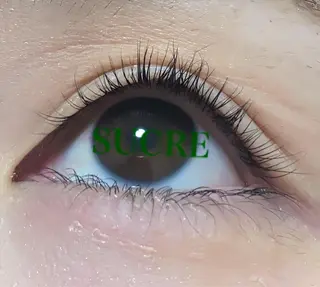 マツエク・マツパ EyelashSalon Liz.&所属・Liz.&現ino 平田のマツエク・マツパデザイン