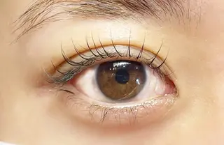 マツエク・マツパ DOLL -eyelash-のマツエク・マツパデザイン