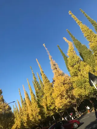 ミディアム カラー パーマ ヘアアレンジ メンズ キッズ ネイル マツエク・マツパ アニメ,Vオタク× 即効痩せエステサロンのエステ・リラクイメージ