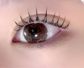 マツエク・マツパ マリーテレジア🪸 ニシヤマのマツエク・マツパデザイン