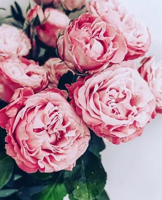 ポーラ 四日市 日永カヨー店所属・ポーラ 四日市カヨー店のエステ・リラクイメージ