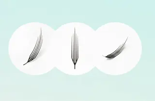 マツエク・マツパ colors【カラーズ】所属・colors💐 《岐阜》のマツエク・マツパデザイン