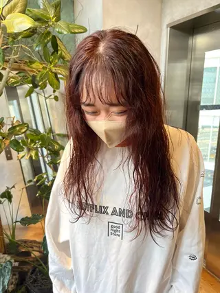 セミロング December/ jingumae所属・【カットモデル募集】 yuzuのヘアスタイル