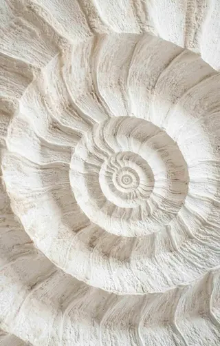 マツエク・マツパ 🦋MaaZlash 南流山FUKA🤍のマツエク・マツパデザイン