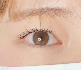 マツエク・マツパ 《eyelash ｉｉｔｅ》森のマツエク・マツパデザイン