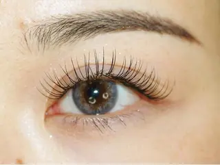 マツエク・マツパ Darwin Lash 川口駅前店所属・DarwinLash 林のマツエク・マツパデザイン