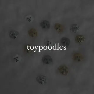 foi所属・【foi】 natsumi🌼のその他イメージ