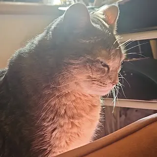 salon de Princess所属・salon de  Princessのネイルデザイン