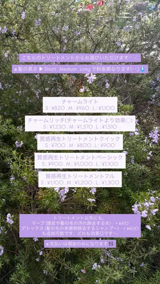 HIBIKI / ブリーチモデルのヘアスタイル