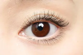 マツエク・マツパ アイブロウワックス モデル募集の眉毛・アイブロウイメージ