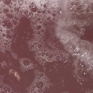 ネイル OTOHA/ 渋谷/パラジェルのネイルデザイン