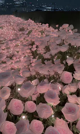 ∴Sanae. ∴ トータルビューティーのマツエク・マツパデザイン