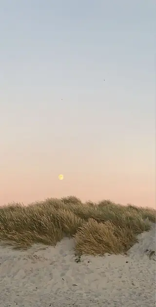 マツエク・マツパ lucara所属・トップアイリスト♡ sayaのマツエク・マツパデザイン