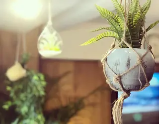 ショート カラー パーマ マツエク・マツパ 髪質改善サロン Liko🌟のヘアスタイル