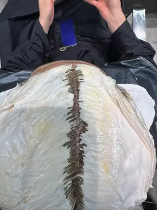 ショート カラー 堀江 /木下椋麻のヘアスタイル