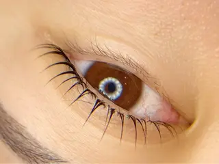 マツエク・マツパ tomte トムテのマツエク・マツパデザイン