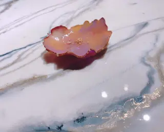 kitasando nailのその他イメージ