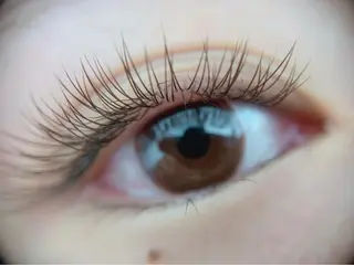 マツエク・マツパ まつ毛、眉毛 専門店🎀🐻のマツエク・マツパデザイン