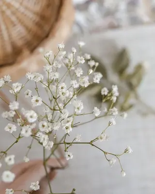 ネイル Lili beauty salon所属・Lilibeauty salonのネイルデザイン