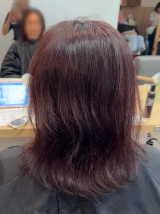 ミディアム カラー 縮毛矯正/艶髪カラー ヘアアレンジ/ひふみのヘアスタイル