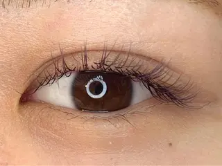 マツエク・マツパ mist AYA 🏝️eyelashのマツエク・マツパデザイン