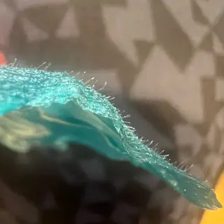 🅖🅤🅩🅔🅛 salonのエステ・リラクイメージ