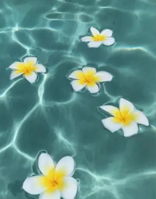 Bless hair &spa所属・🫧縮毛矯正／カラー ／bless松浦🫧のヘアスタイル