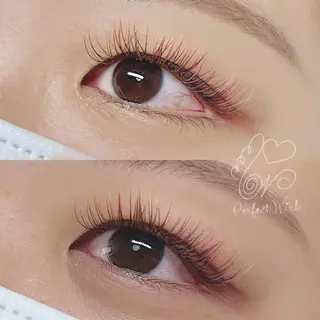 カラー マツエク・マツパ パーフェクトウィンク ちぢいわみのりのマツエク・マツパデザイン