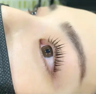 マツエク・マツパ Celeste Venus所属・🧸Celeste Venusのマツエク・マツパデザイン