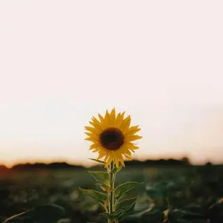 マツエク・マツパ 💜bora .のネイルデザイン