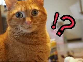 ネイル kiki nail 二子玉川のネイルデザイン