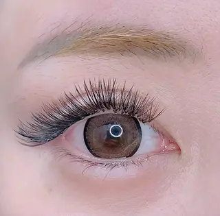 マツエク・マツパ Tamee's Lash所属・Eyelash🌻 nakajimaのマツエク・マツパデザイン